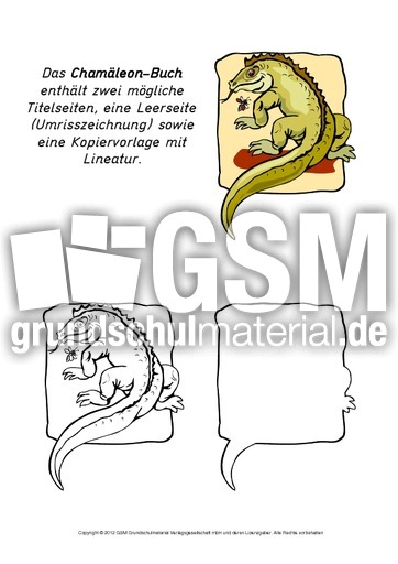 Mini-Buch-Chamäleon.pdf